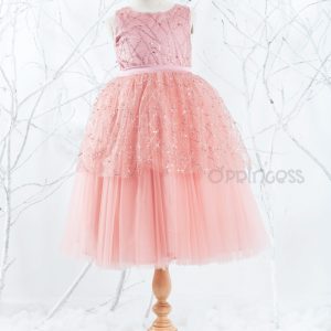 RD09 - Hồng vỏ đỗ