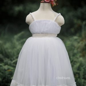 Frozen Flame Photography