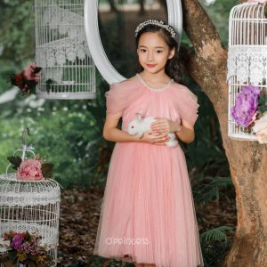 Frozen Flame Photography